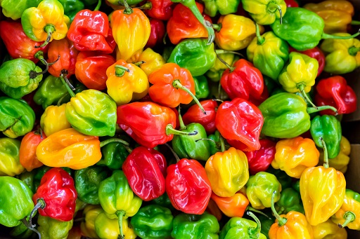 Mexican Peppers