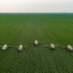 Explorando el paisaje agrícola: principales cultivos de México