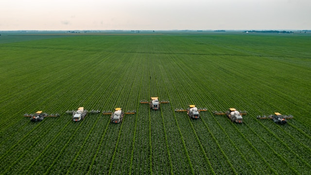 Exploring the Agricultural Landscape: Major Crops of Mexico