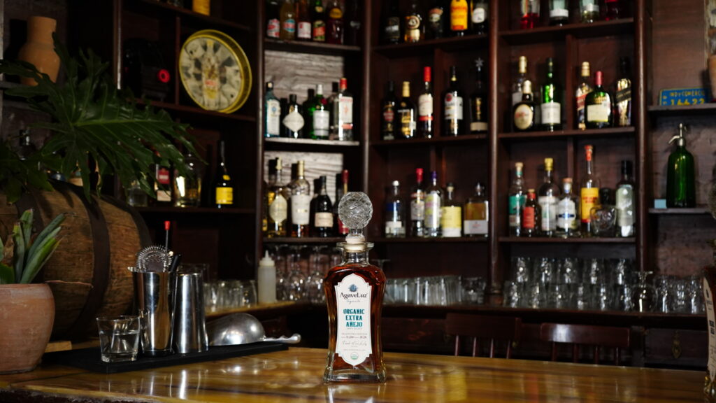 Best Tequila In Mexico: A Guide For Agave Lovers Best Tequila In Mexico: A Guide For Agave Lovers