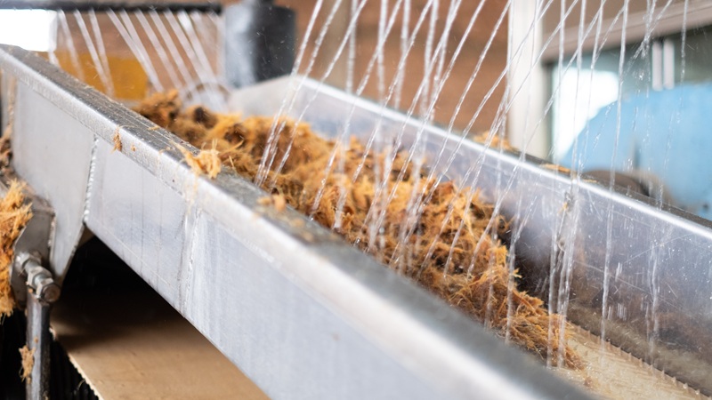 Best Tequila In Mexico: A Guide For Agave Lovers Best Tequila In Mexico: A Guide For Agave Lovers