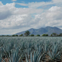 Photo Shooting in Mexico