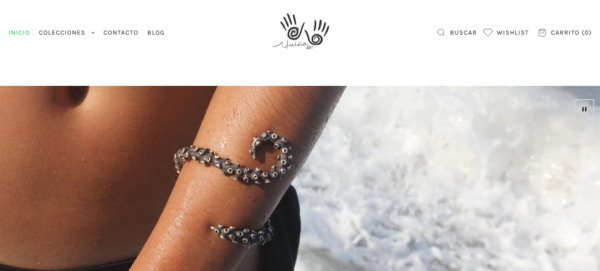 Shopify Website Development