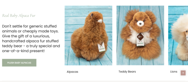 Shopify Website Development