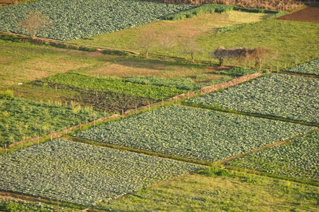 Main Greenhouse Agriculture Regions in Mexico