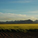 Greenhouse Agriculture in Mexico: Growth, Innovation, and Export Opportunities